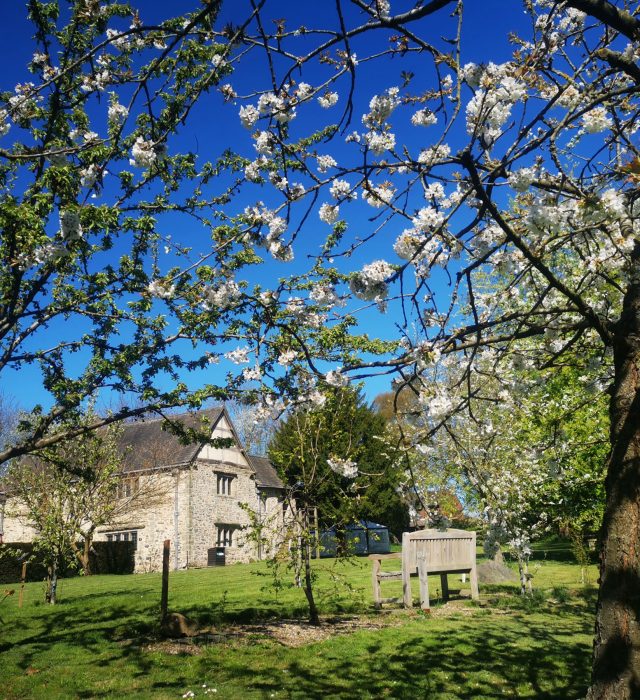 House Viewed From Orchard Spring Aspect Ratio 640 700