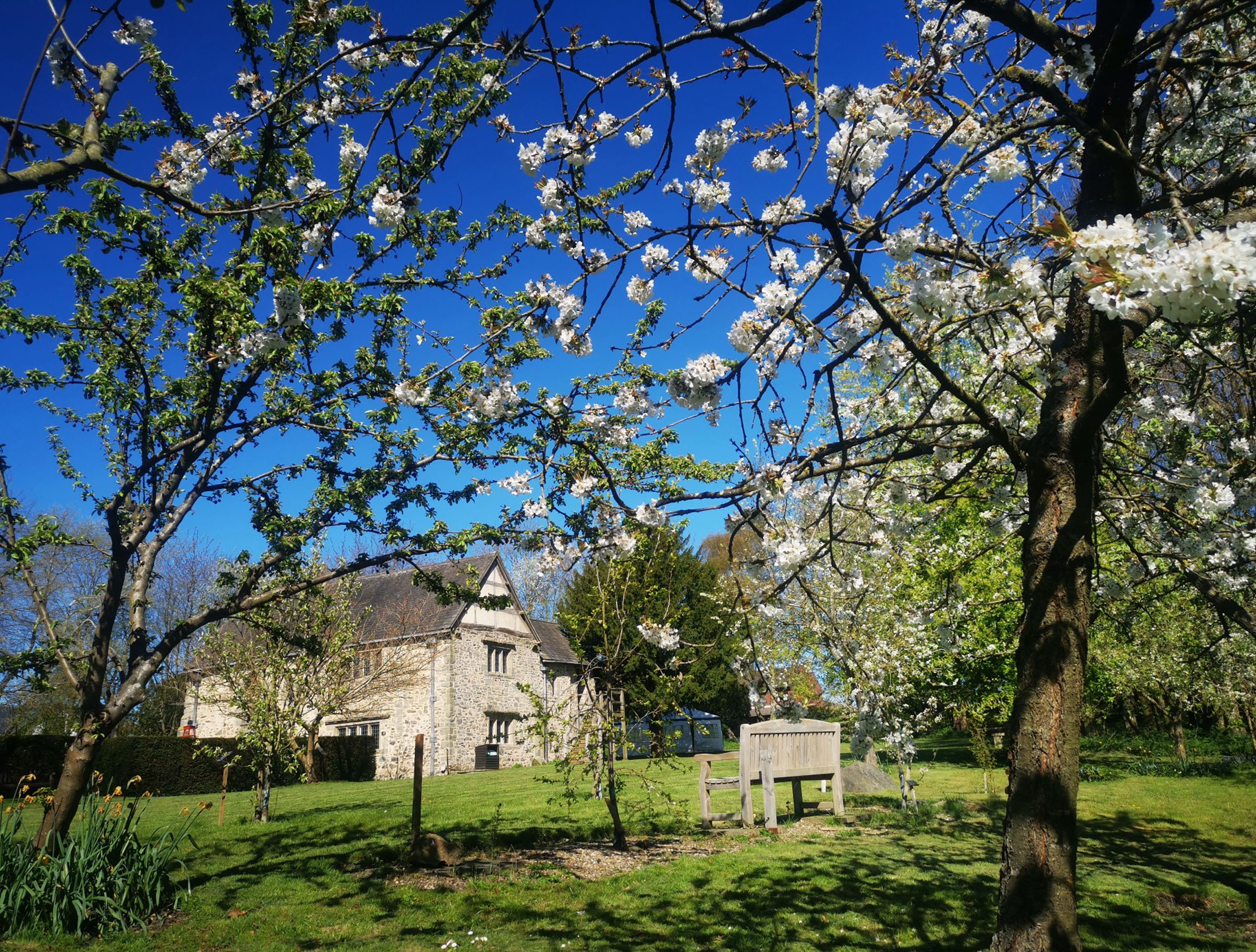 House Viewed From Orchard Spring Aspect Ratio 1055 800